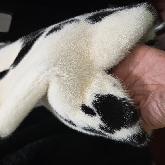 Brand New Luxury JAGUAR MINK 3/4 COAT.. - Picture 6 of 16